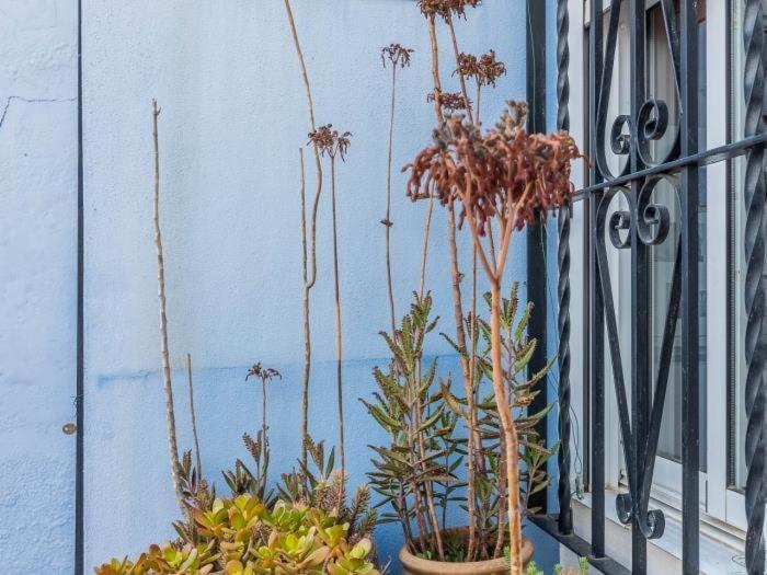Apartamento Susillo Vacacional Sevilla Exteriör bild